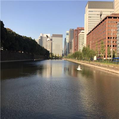 KOKapp手机app下载截图